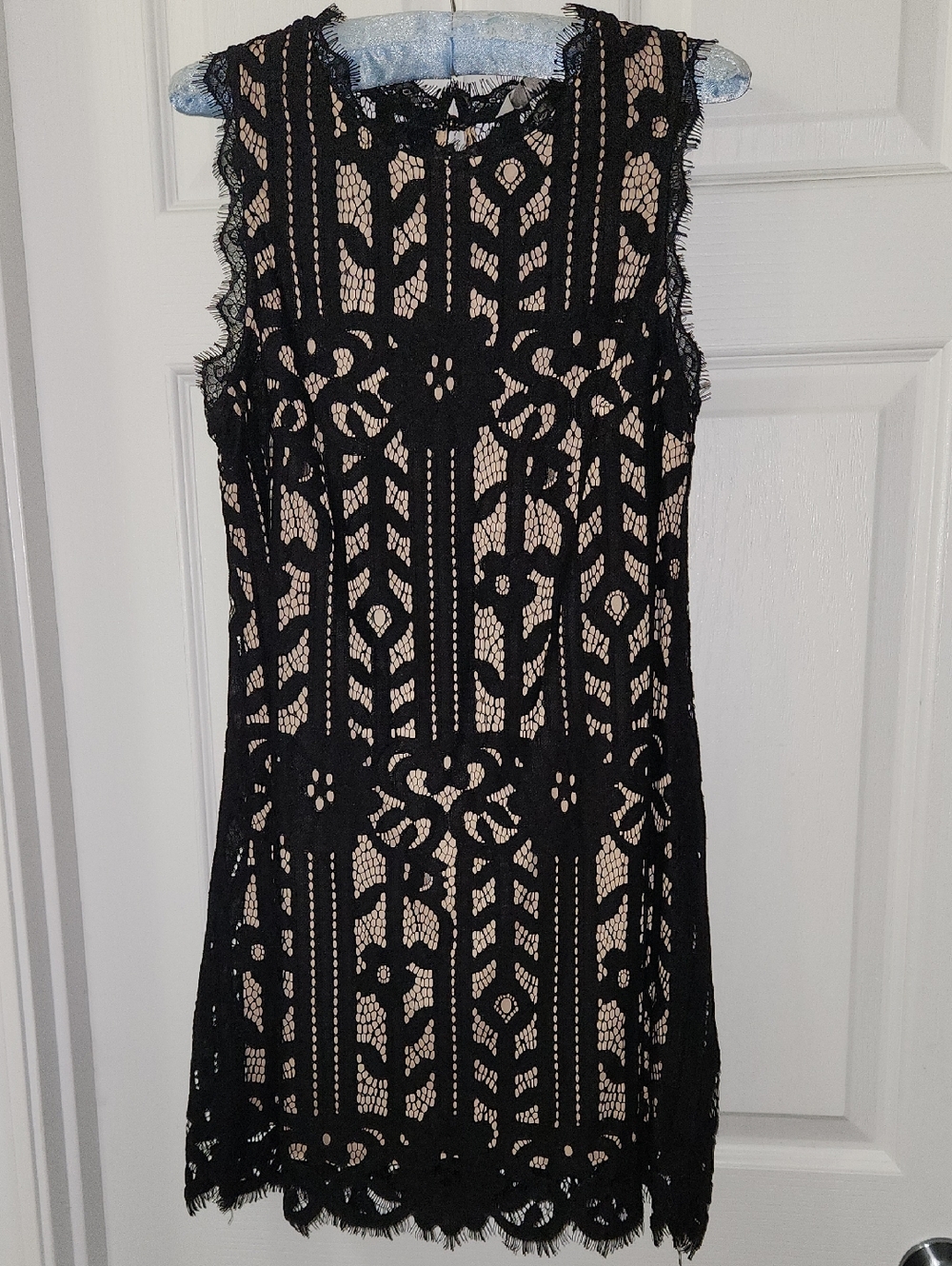 Speechless Black Lace Mini Dress with Nude Lining